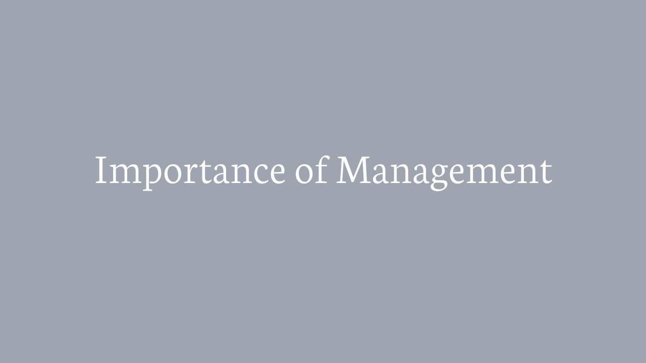 importance of business management essay