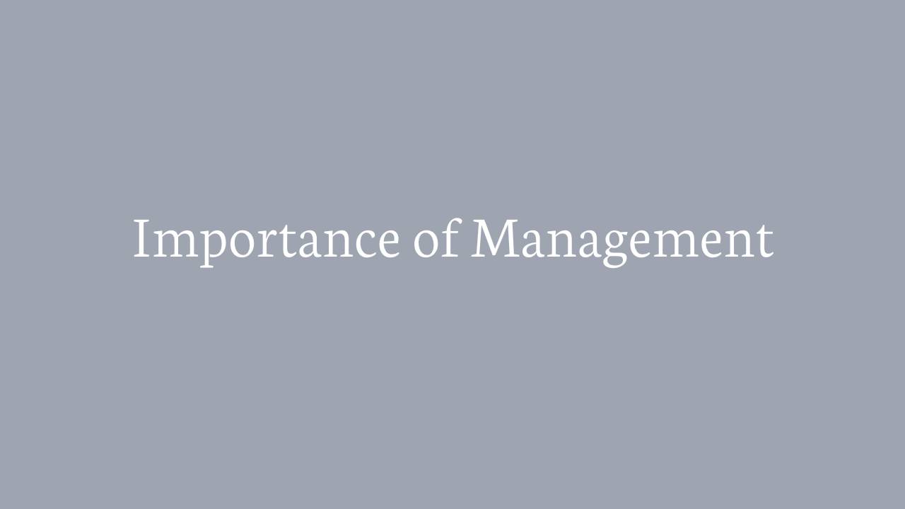 essay about management importance